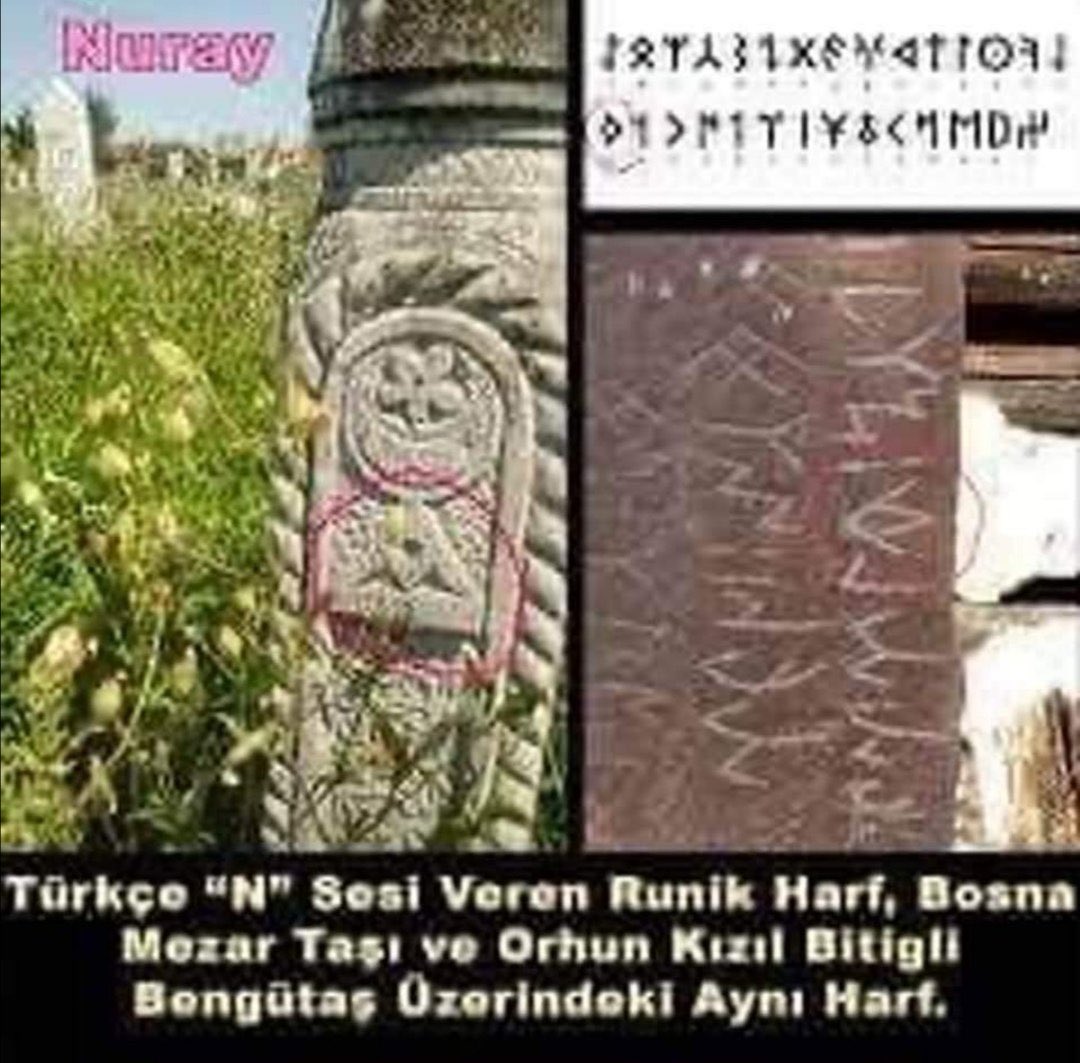 Boşnaklar daha önce batıya yerleşik bir Türk koludur. Avar, peçenek ,kıpçak ve kuman Türk torunlarıdır.