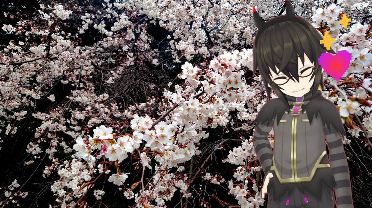gameppdroid's tweet photo. 🌸人が居なくてラッキー🌸 https://t.co/NNe8yGvtDw