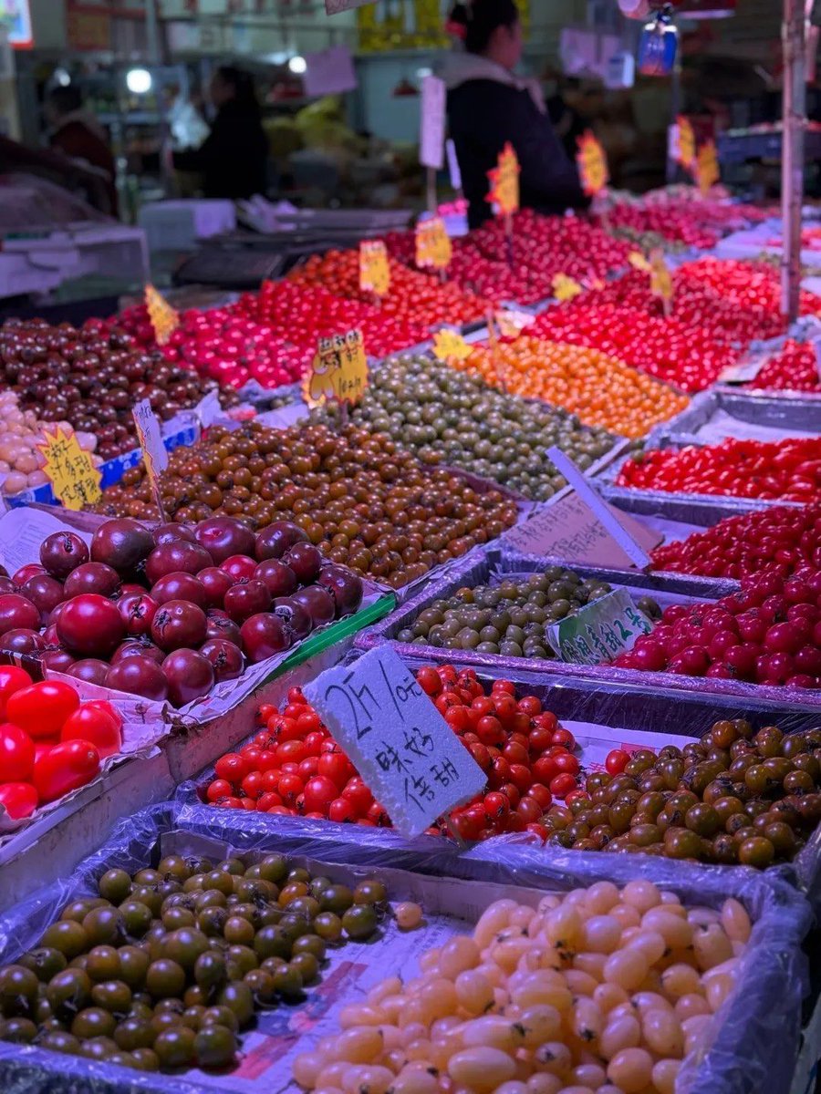 Vito Rodoga tweet media