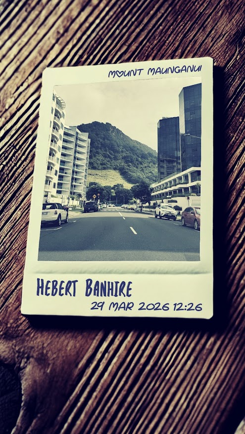 Hebert Banhire tweet media