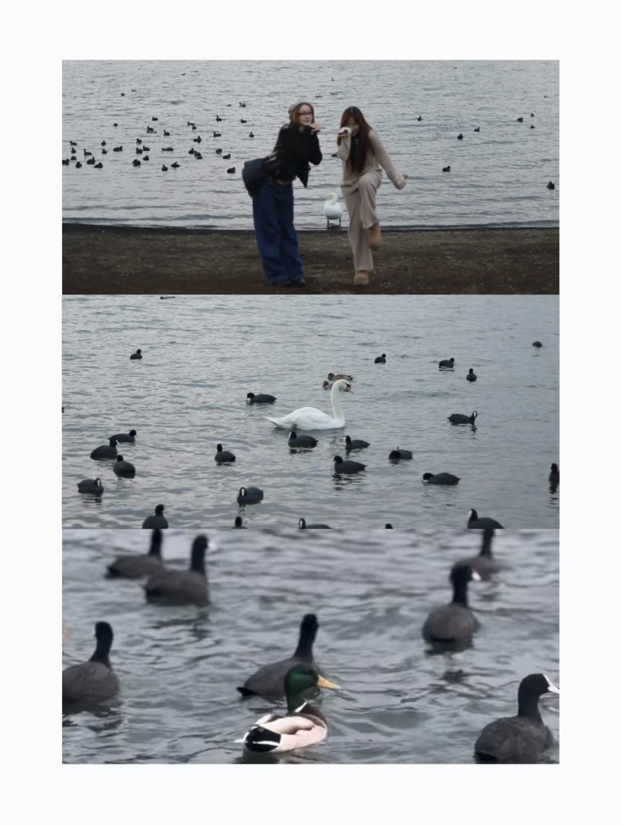 🫶🏼 tweet media