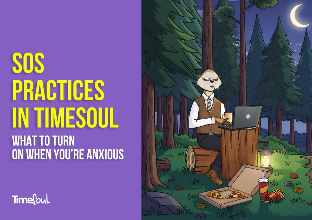 TimeSoul tweet media