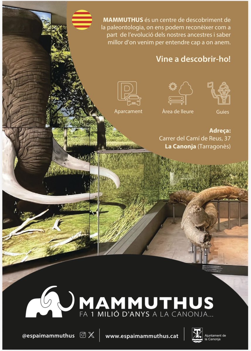 Espai Mammuthus tweet media