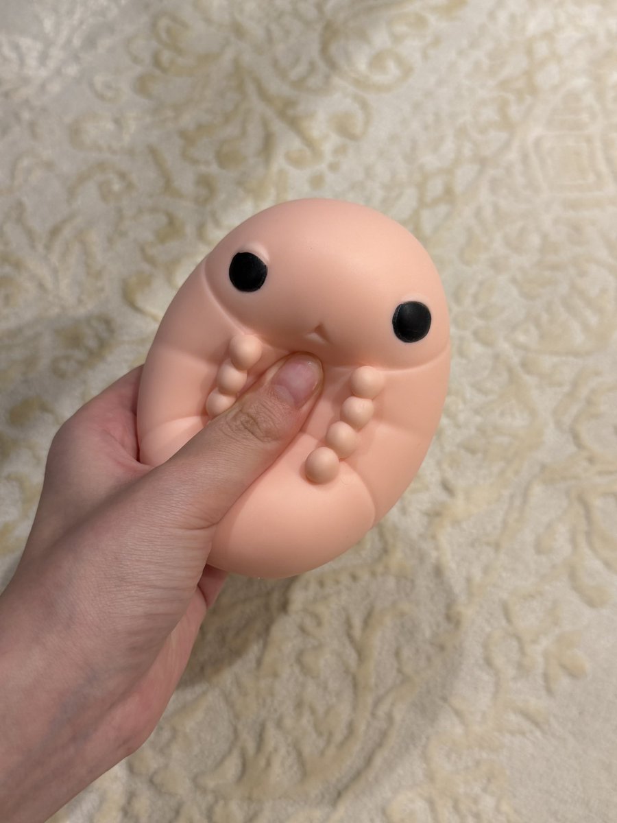 wbeblank tweet media