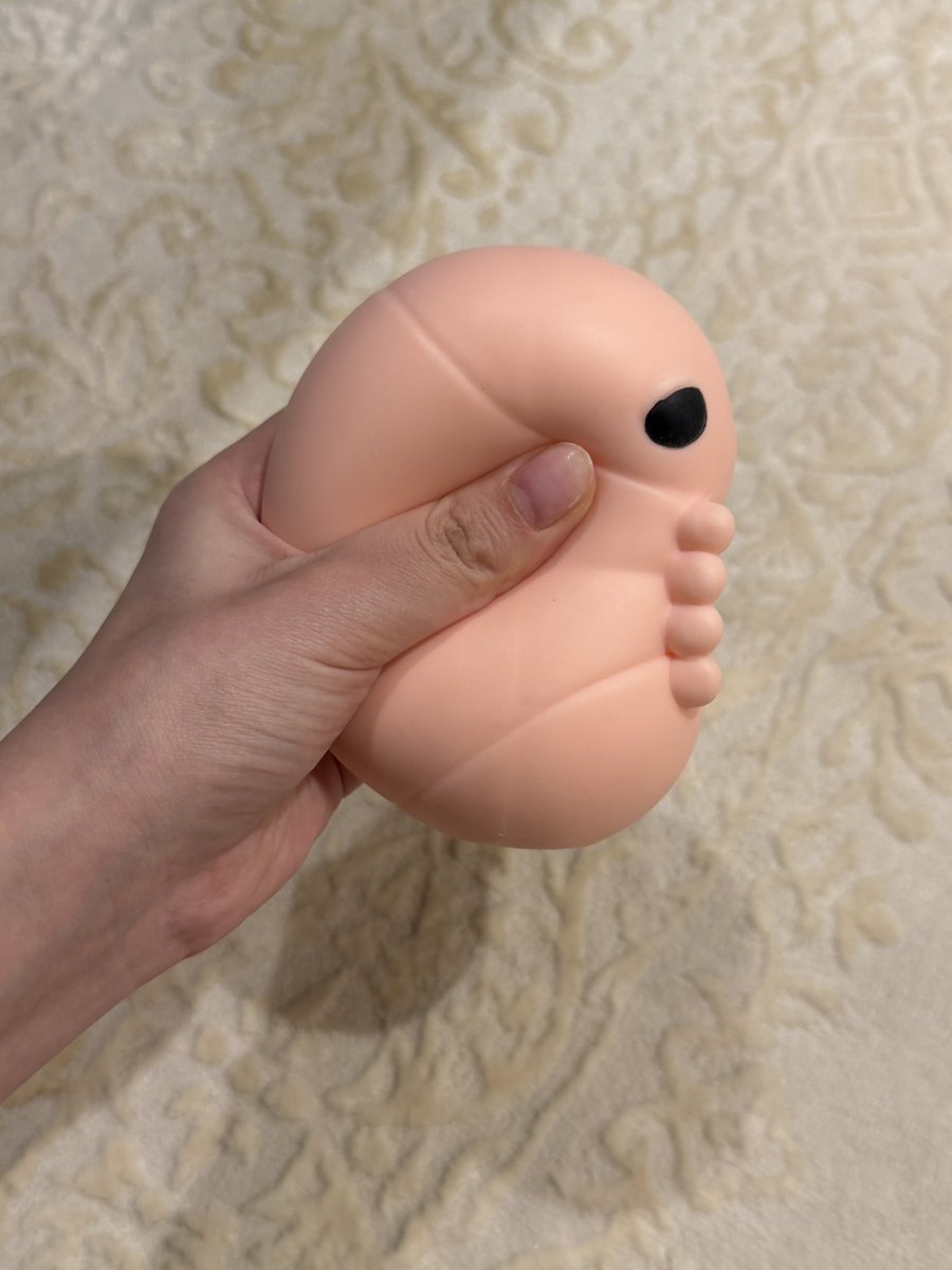 wbeblank tweet media