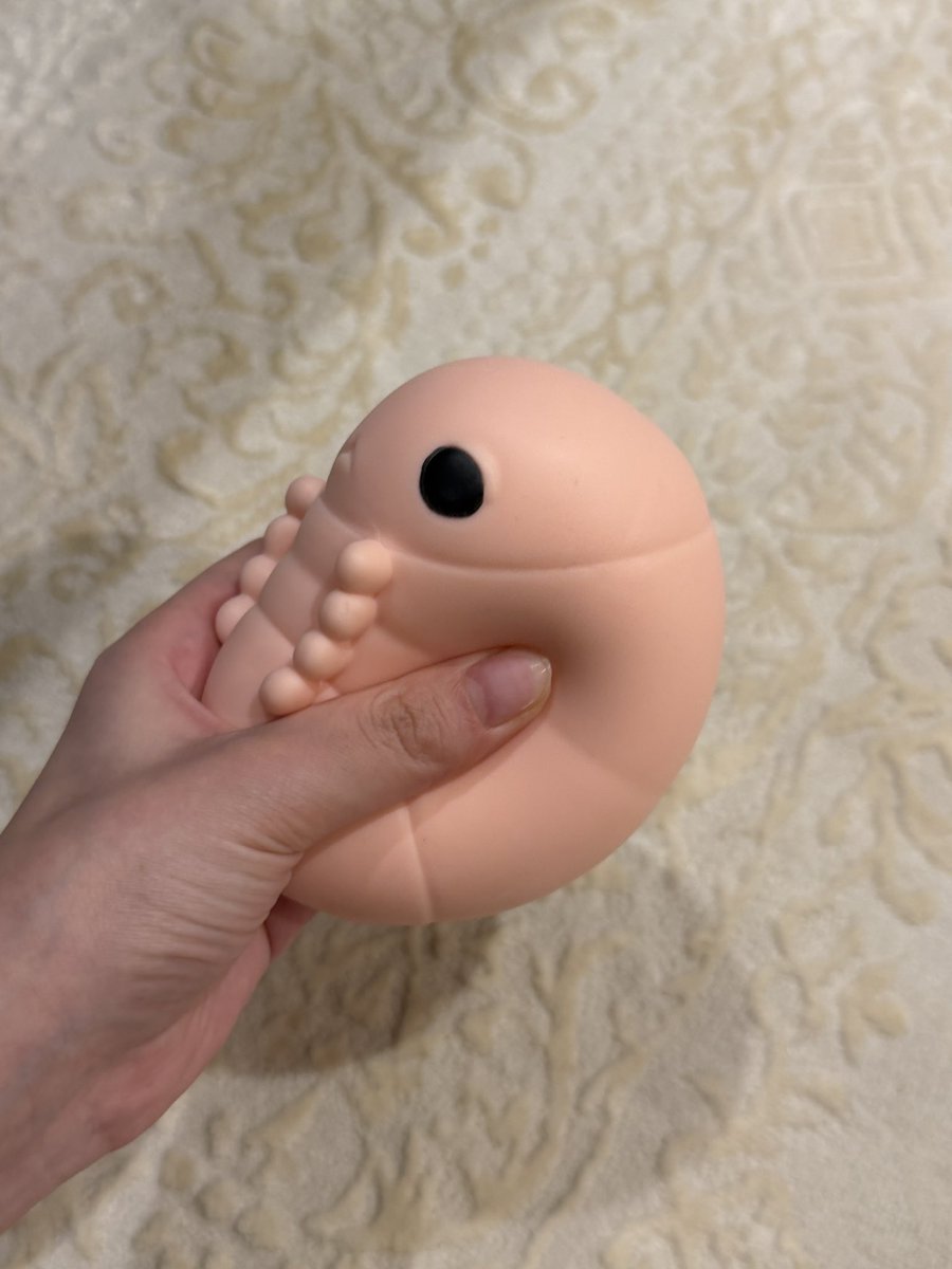 wbeblank tweet media