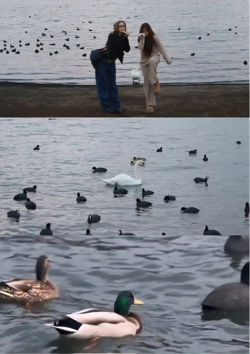 십 / 🎮 tweet media