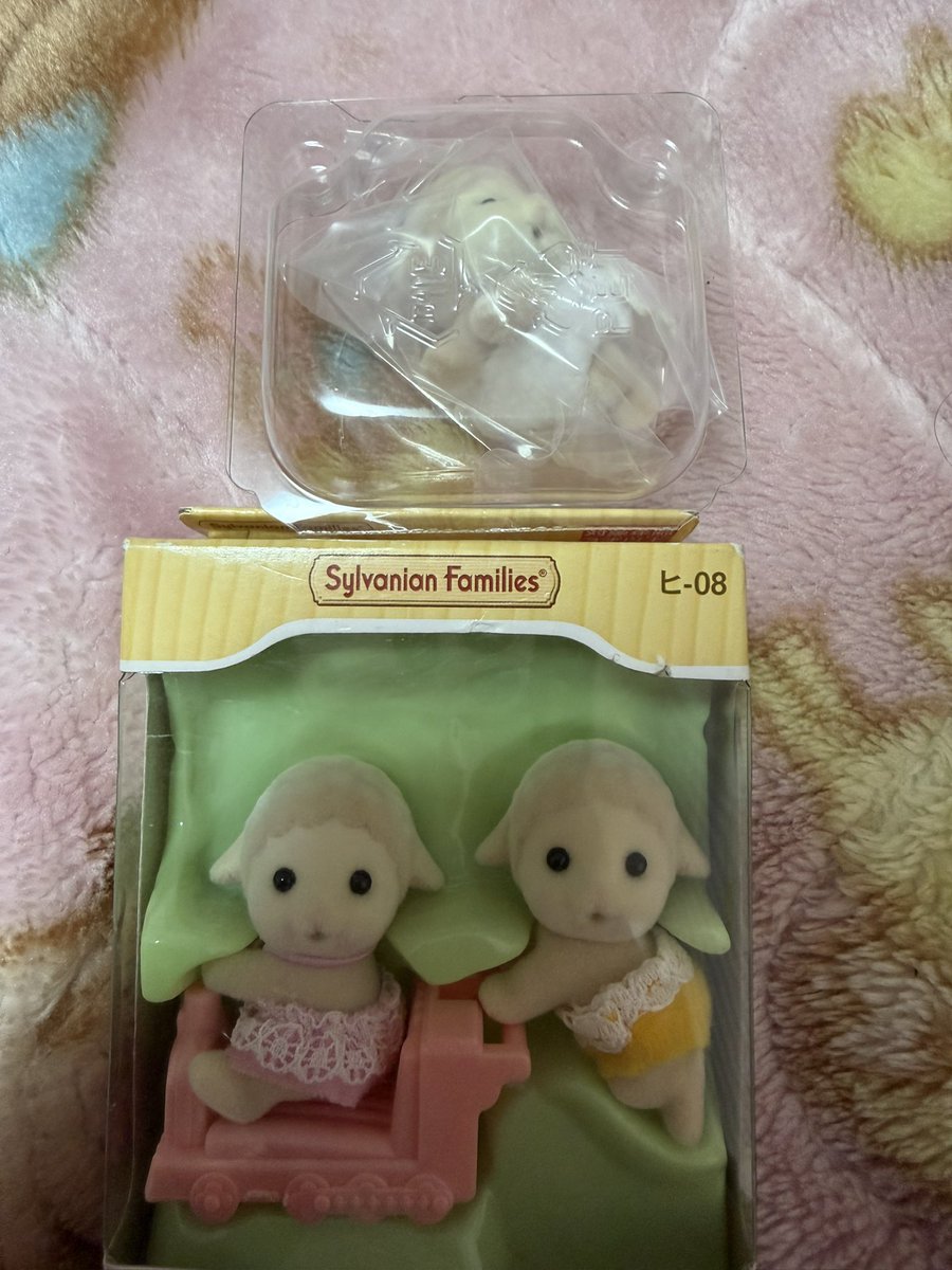 pぴっぴ tweet media