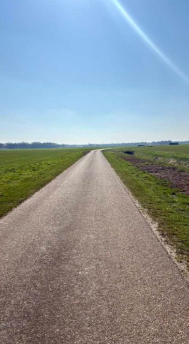 gewoonmark tweet media