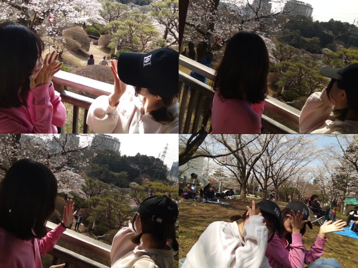bl__oo0's tweet photo. 🌸🧺🥪✨ https://t.co/UR4NI2Ad5o