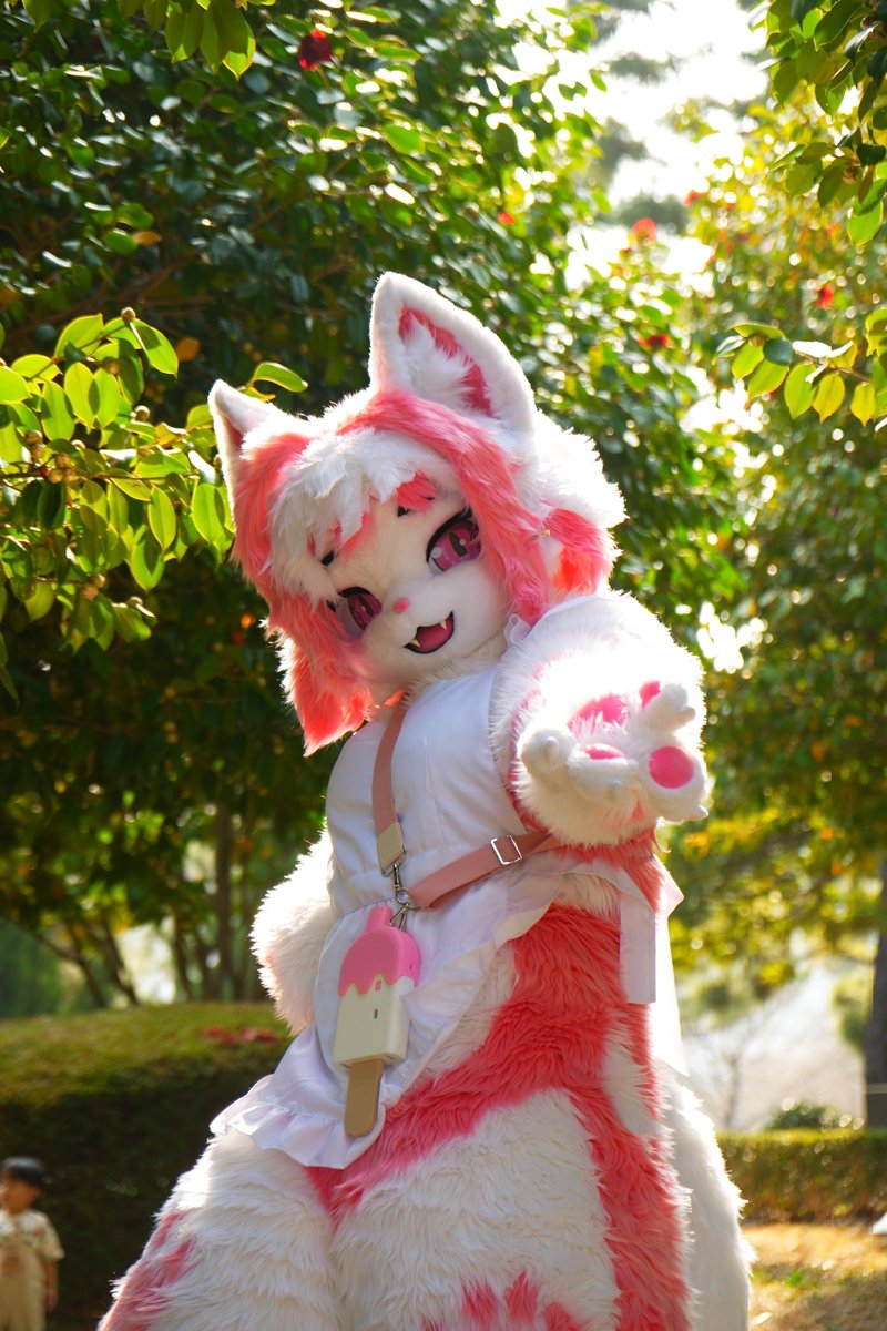 고양이 카페 츄르 도둑 tweet media