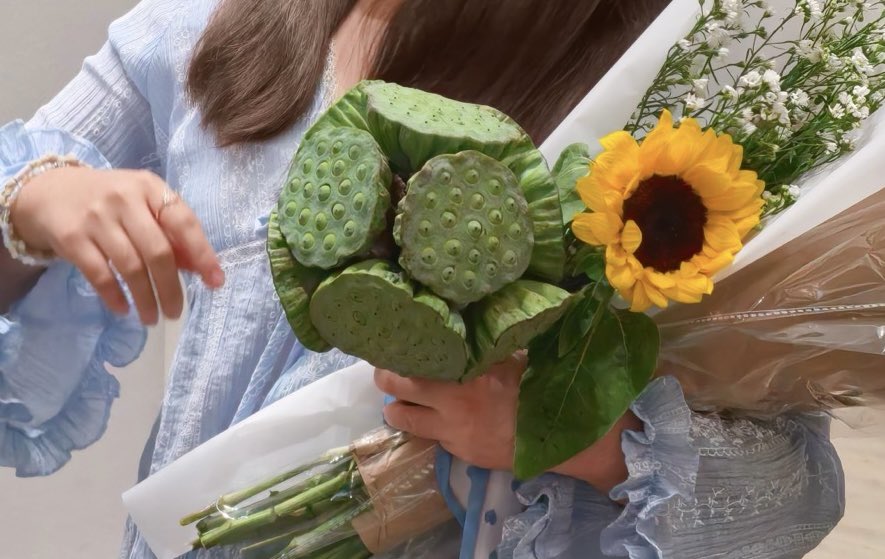 ม่อลม่อลล 🍂🍄 tweet media