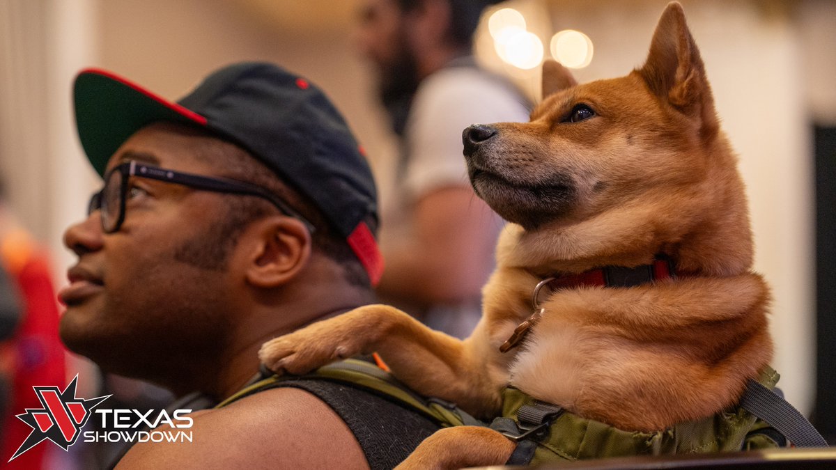 TEXAS SHOWDOWN tweet media