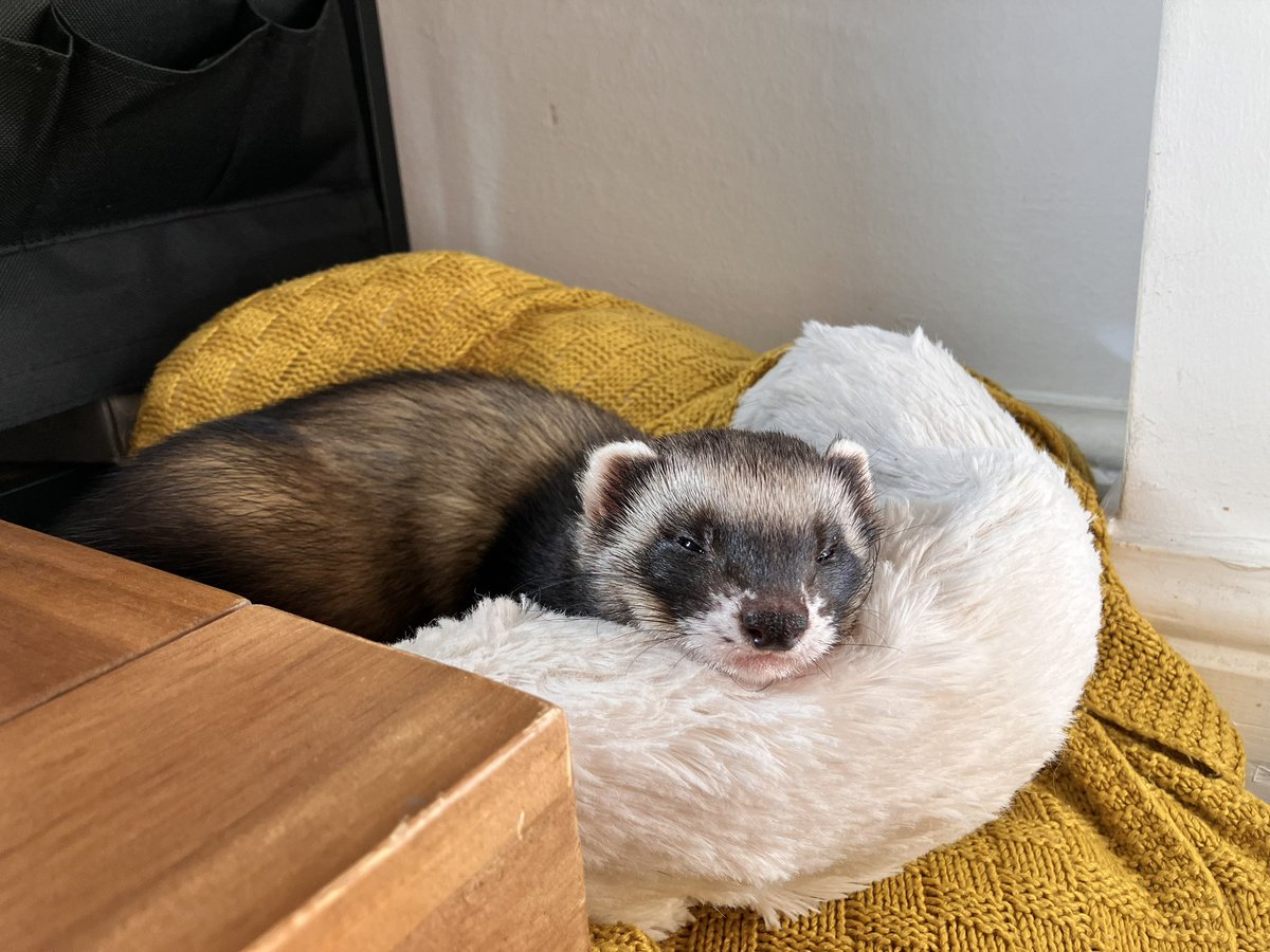 CaliCeri tweet media