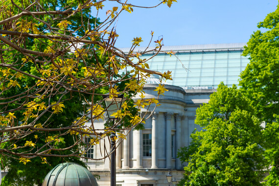 UCL Alumni tweet media