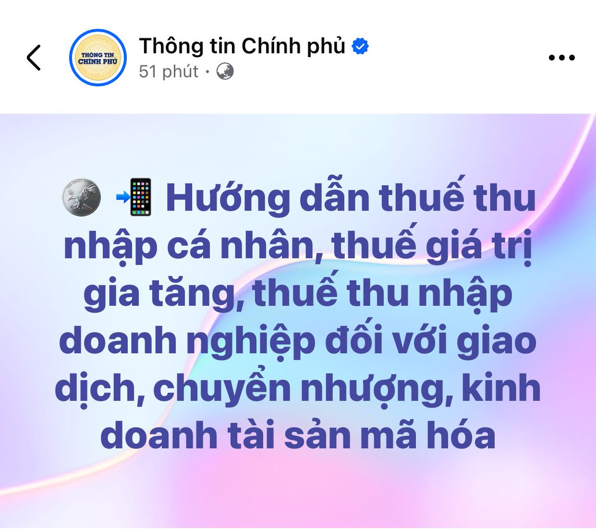 Solo Top tweet media