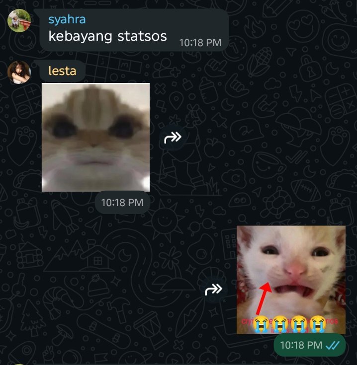 ola ˆ𐃷ˆ tweet media