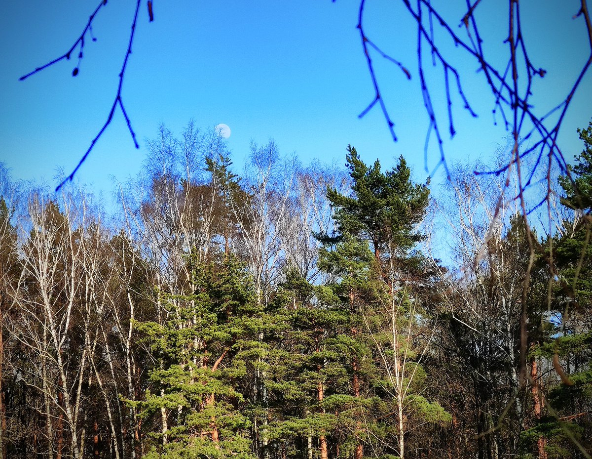 Elena✈ tweet media