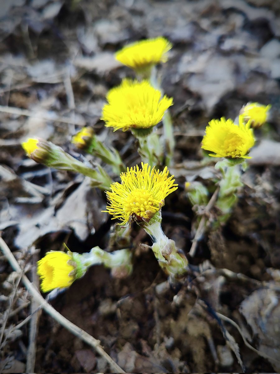 Elena✈ tweet media