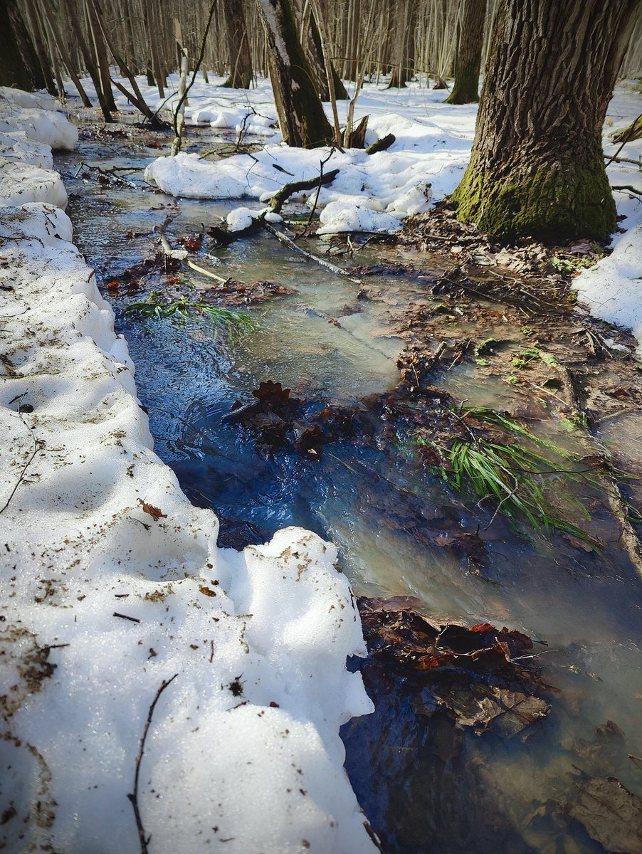 Elena✈ tweet media