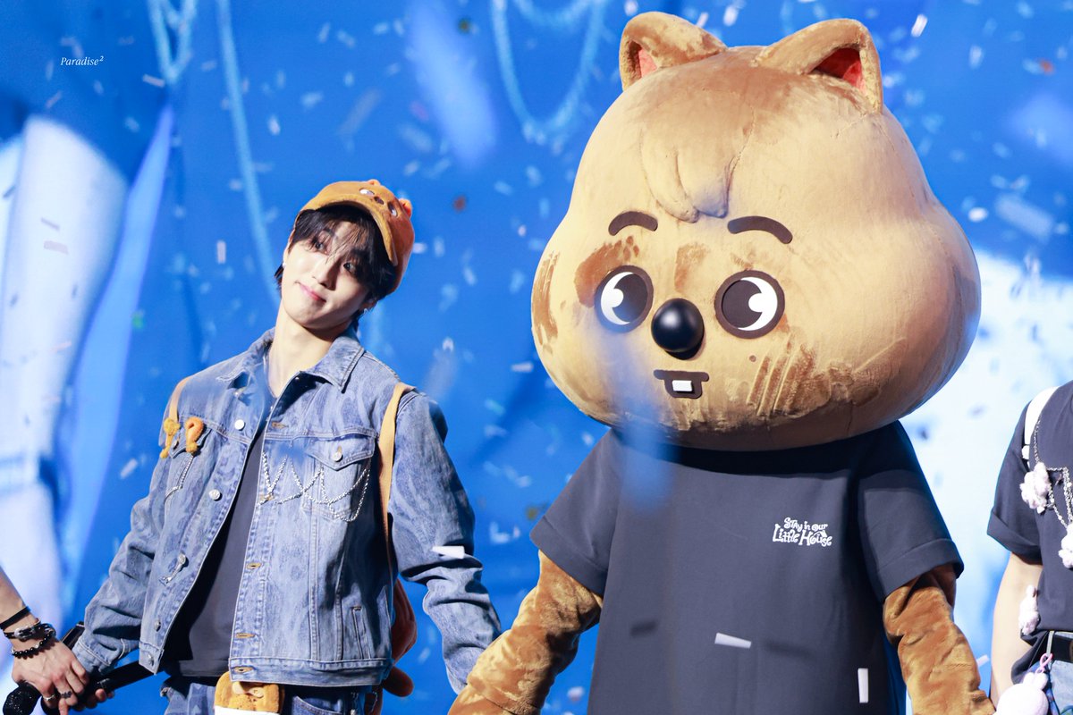 Paradise² tweet media