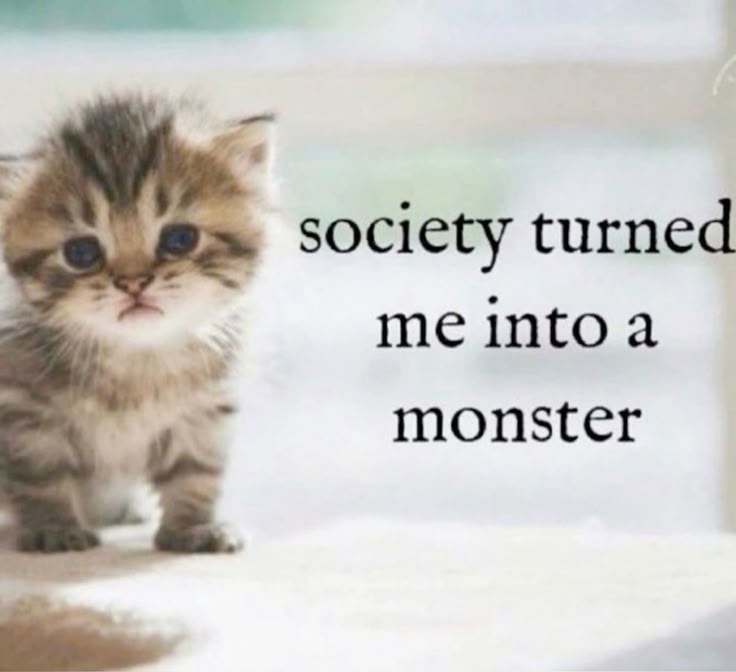 i drink soup tweet media