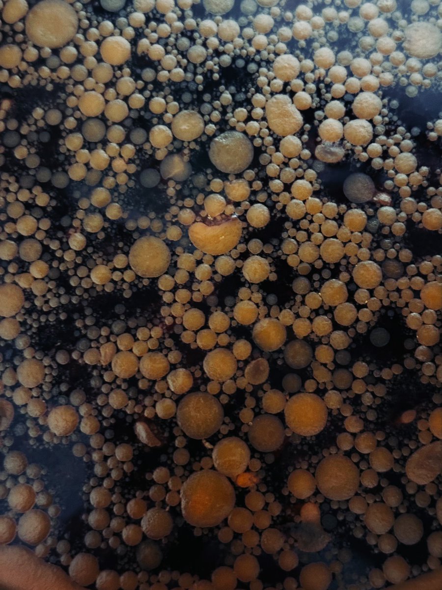 Sebastian Baumer 🍃 tweet media