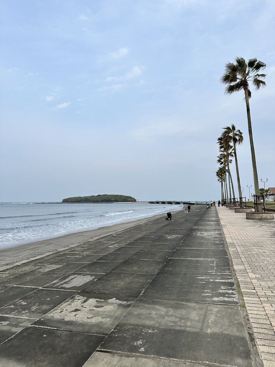 か い と も tweet media