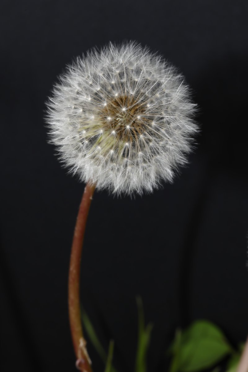 井上浩行 tweet media