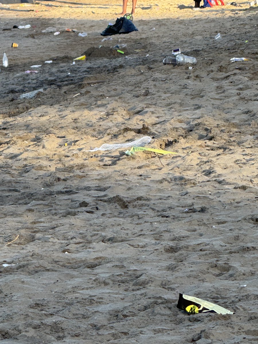 The Real KING OF THE JUNGLE tweet media