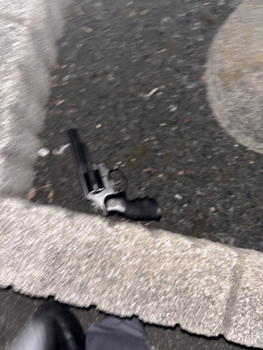 おりものカレーbot🩲🩸🍛 tweet media