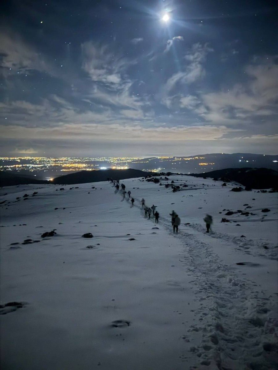 Sawsan Mhanna| سوسن مهنّا tweet media