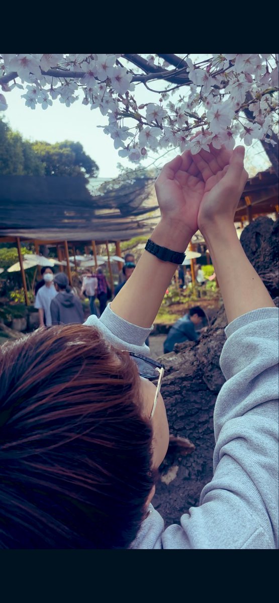 今日はあったかくて桜と会話ができたんですが、そんなことより北くんがかわいすぎての岩瀬洋志あまりにもめろめろすぎる