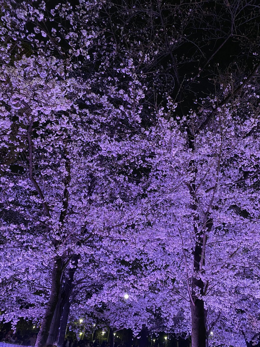 れんだ tweet media