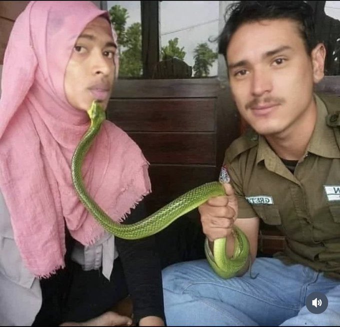 Seputar Real Madrid tweet media