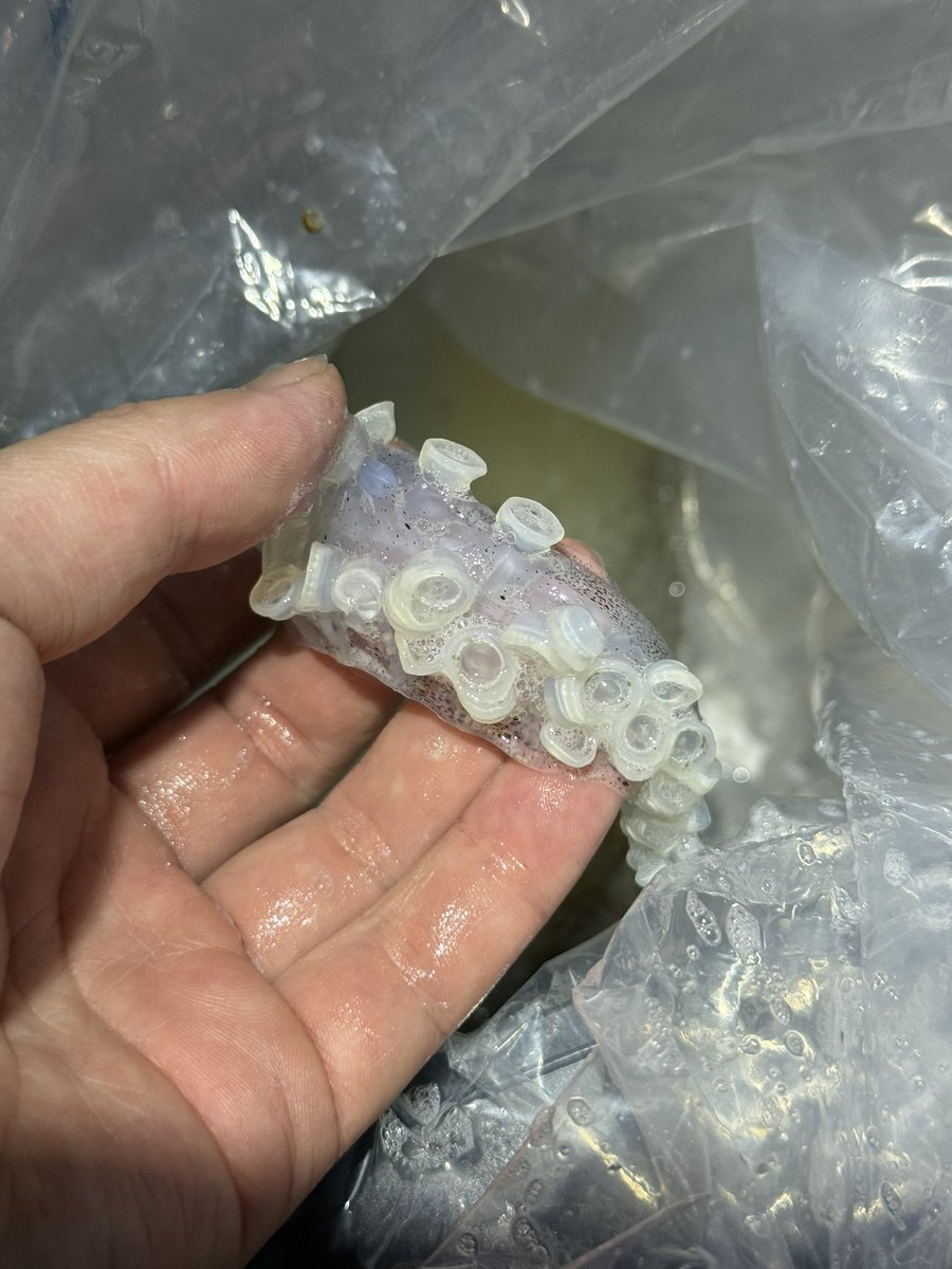 やますてぃ tweet media