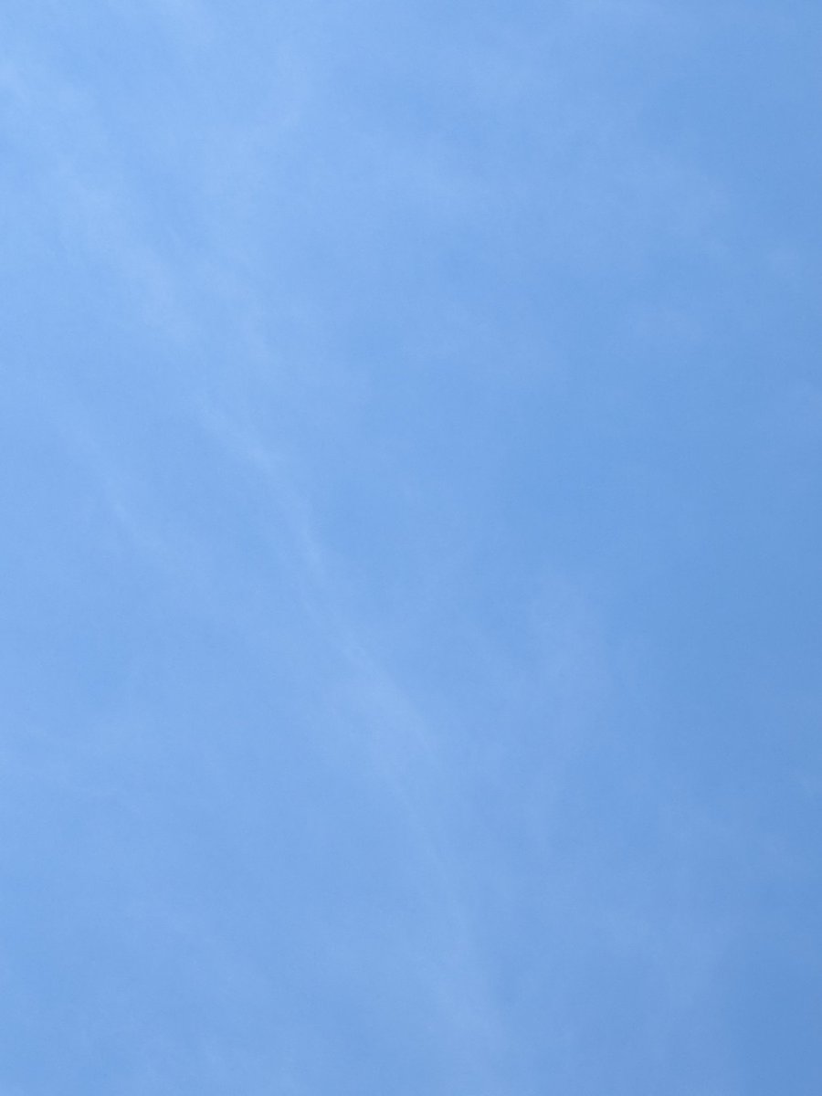 ヨッシー tweet media