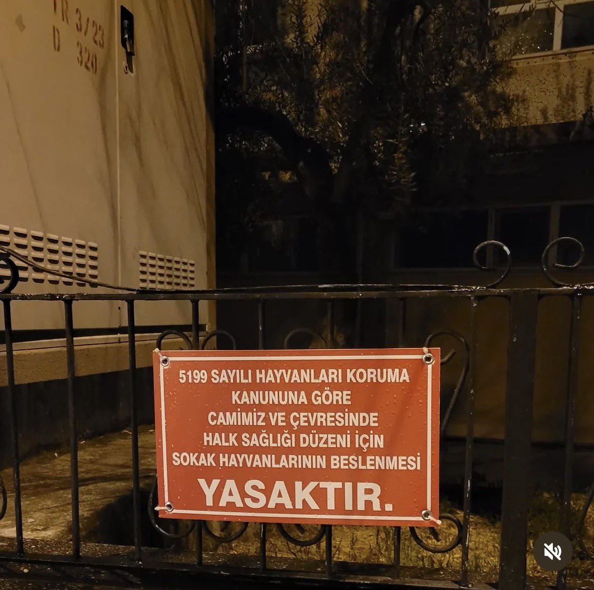 Serap Ulusoy 🦋 tweet media