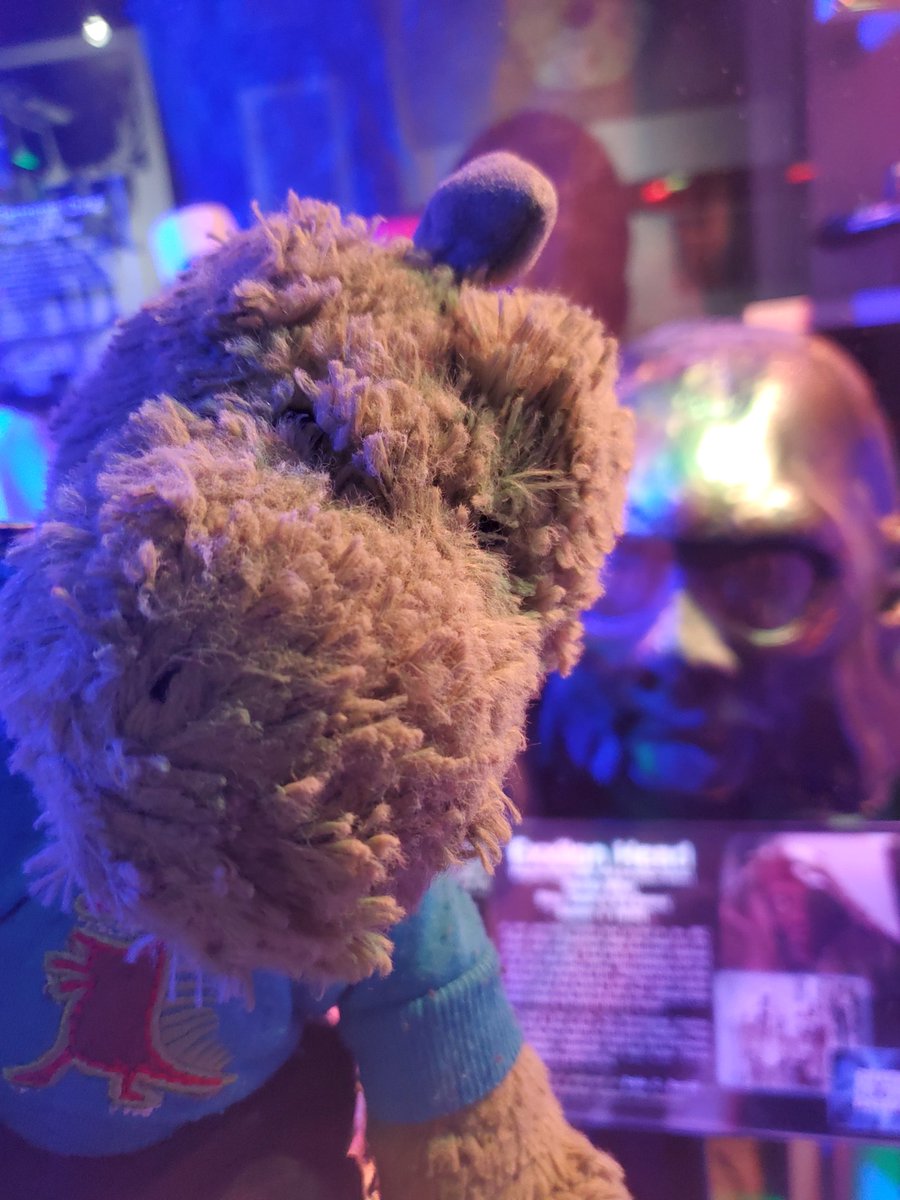 Dino the wee green dude tweet media