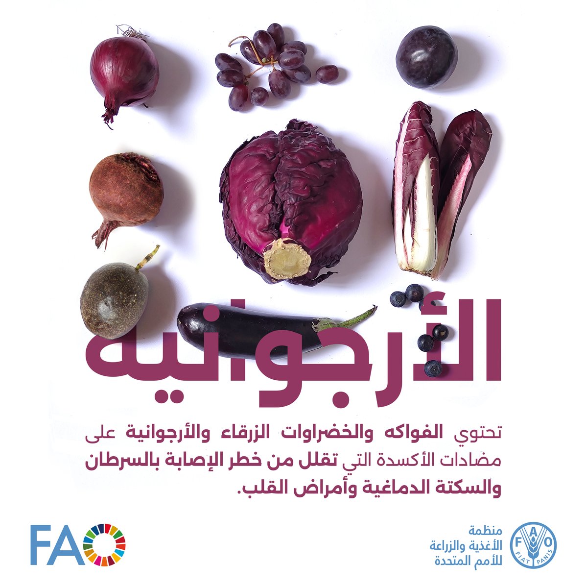 🍇 هل تحب الفواكه والخضروات ذات اللون الأرجواني أو الأزرق؟ 🫐

إليك سبب آخر لحبها ولتناولها!

غالبًا ما تكون الفاكهة أو الخضر الزرقاء والأرجوانية مليئة بمضادات الأكسدة التي يمكن أن تقلل من مخاطر الإصابة بالسرطان والسكتة الدماغية وأمراض القلب 

👈 bit.ly/3AfiiUr