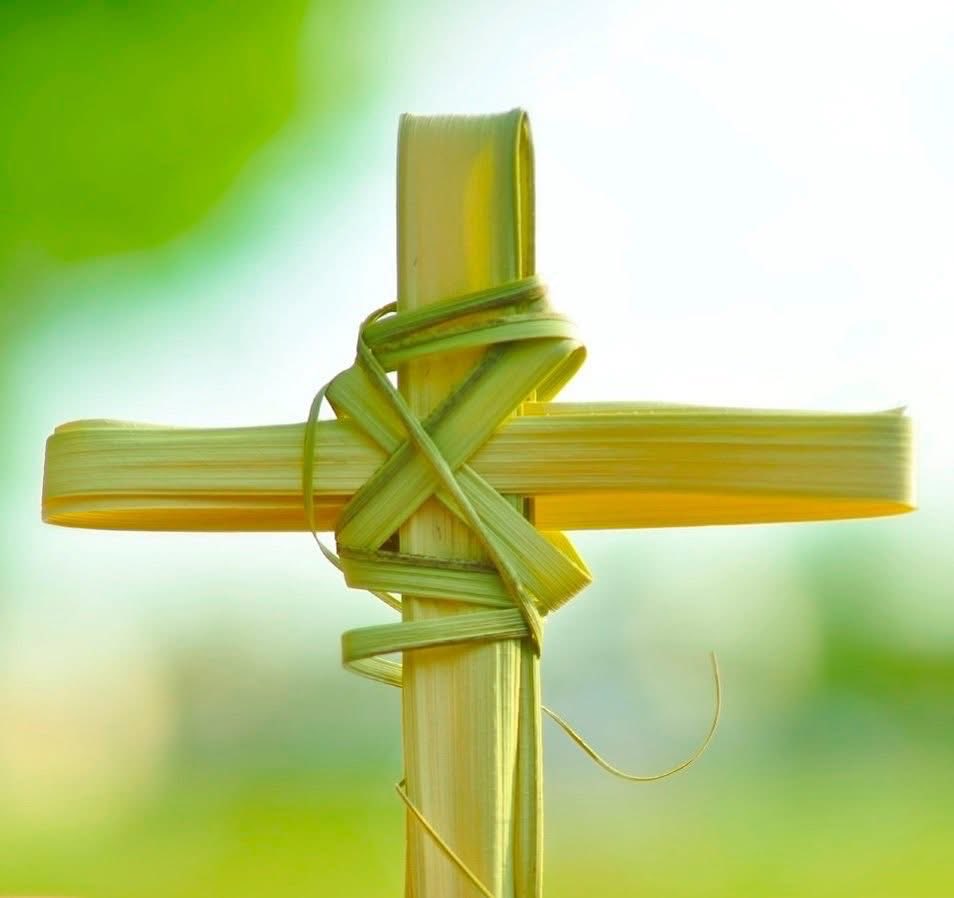 Craig Liggeons tweet media