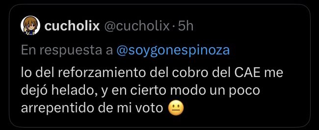 Dudu ✨ D. の意志 tweet media