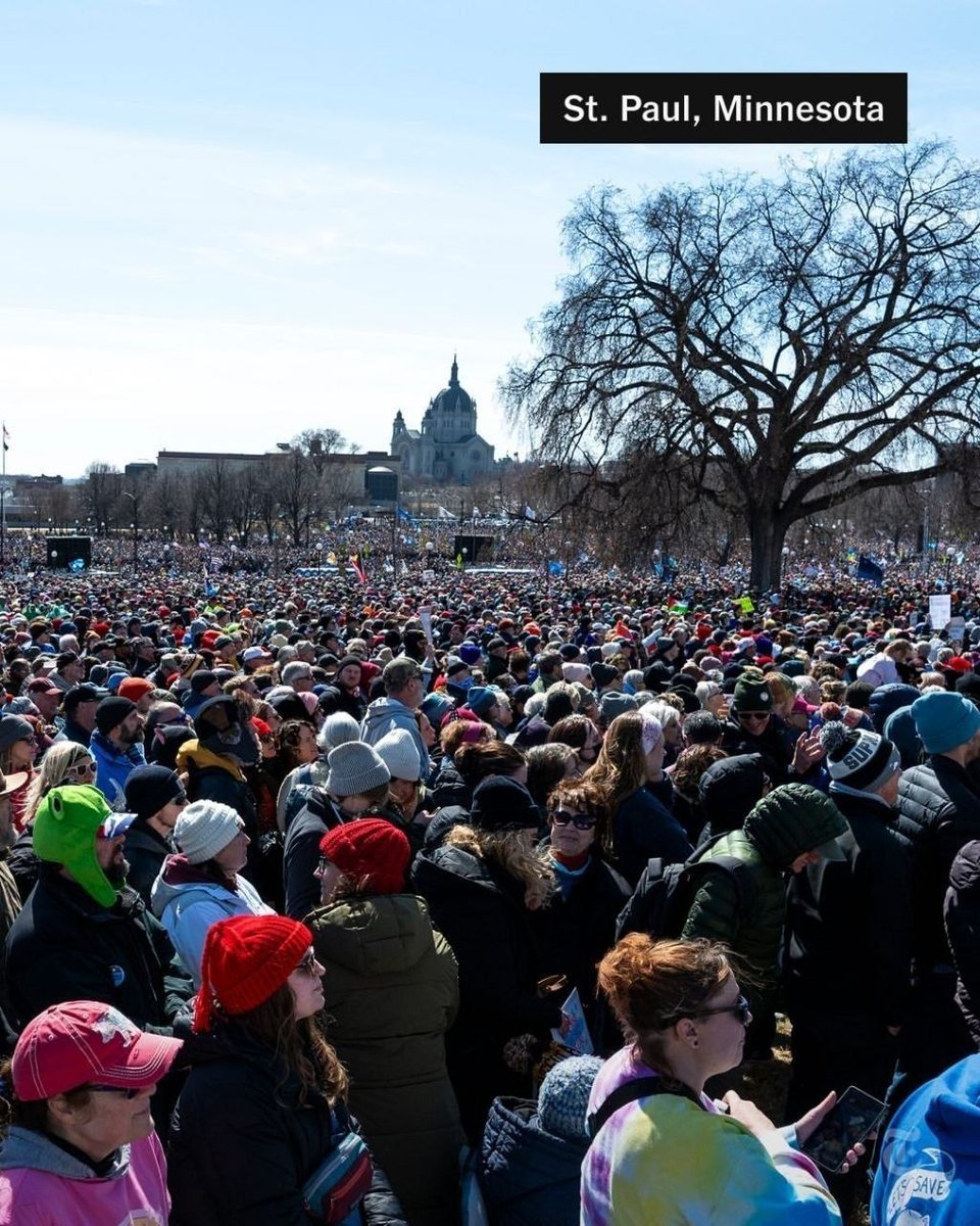 انسیه واحدی tweet media