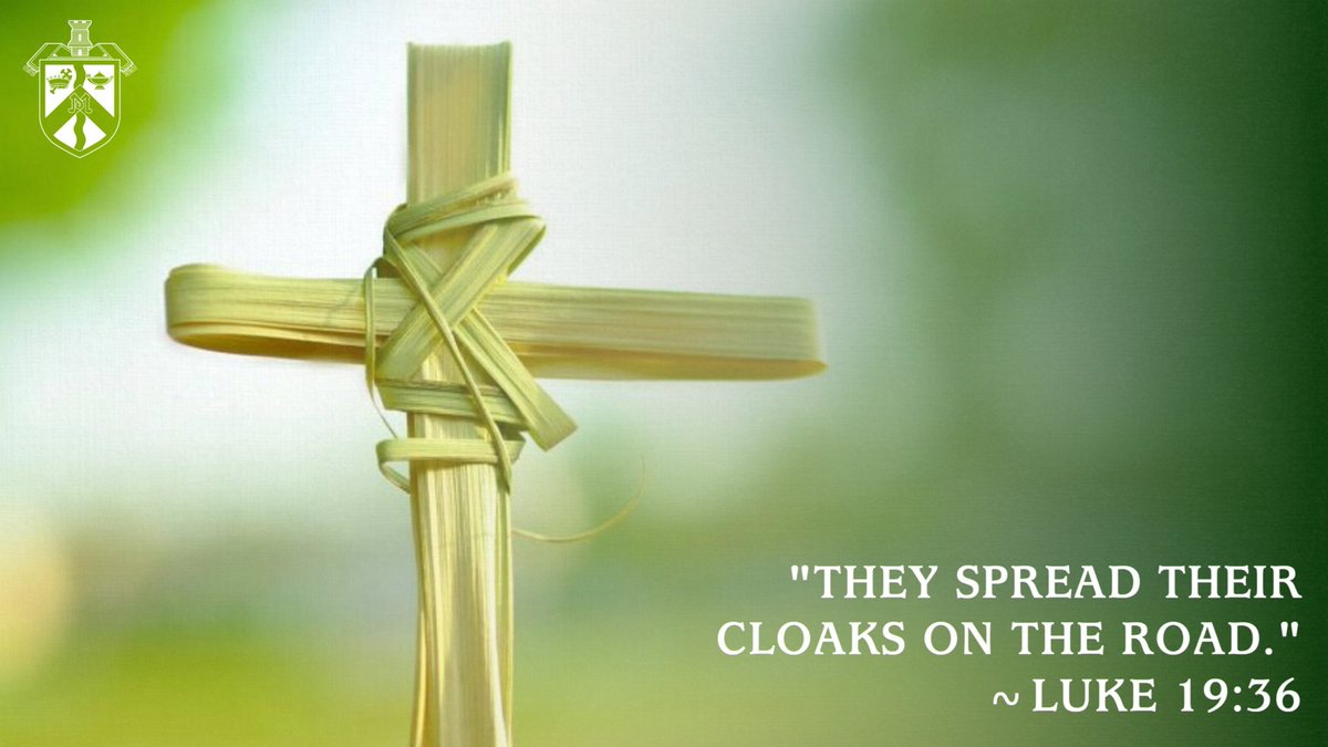 Mercy High School tweet media