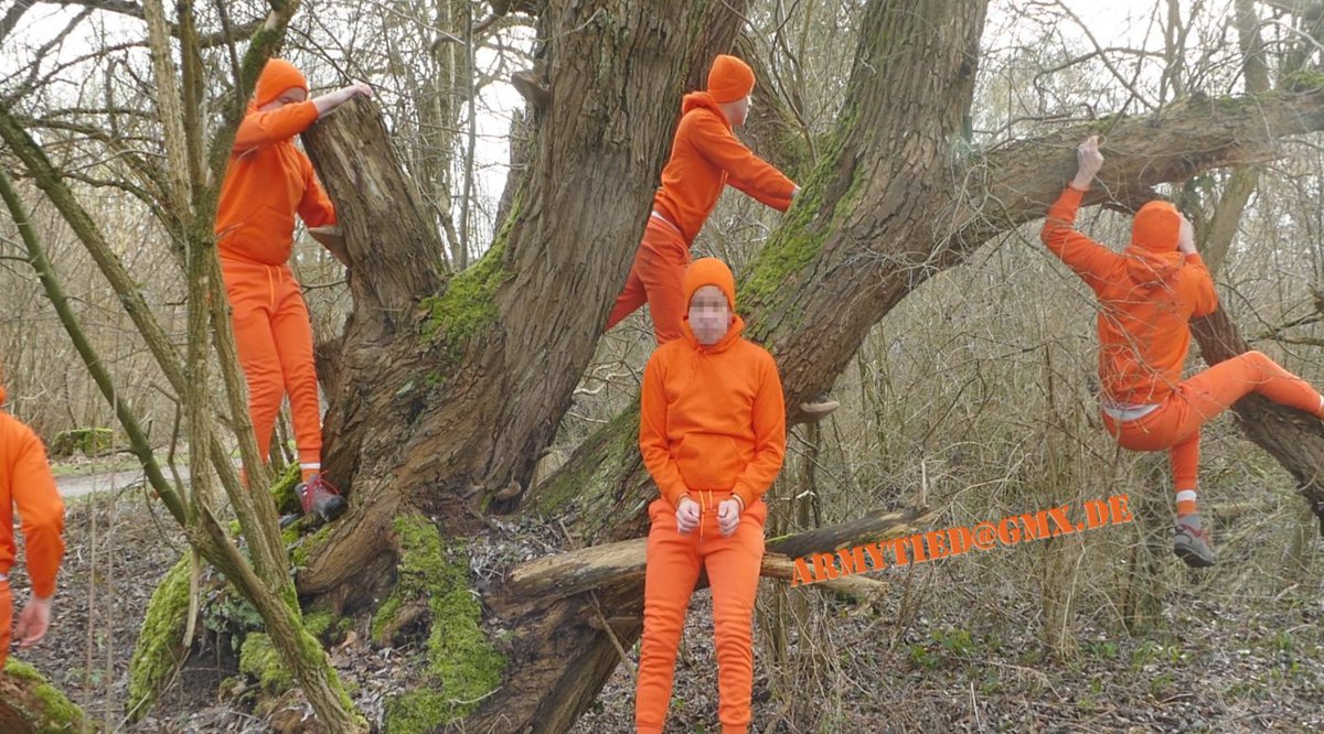 armytied's tweet photo. How to find new inmates for my prison? 🤔
They don't grow 🍊 on trees 🌲🌳, you know...
Oh wait: YES, they do! 😂
Young, handsome, kinky guys: step to the front!
Suitable candidates: apply now! 📧📩
#prisonplay #jailplay #gayBDSM https://t.co/E8pwx8Qp2u