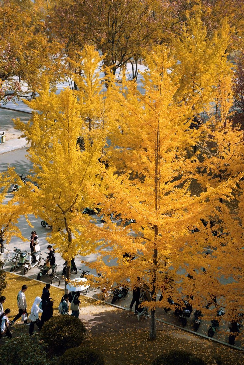 Jim Allen tweet media