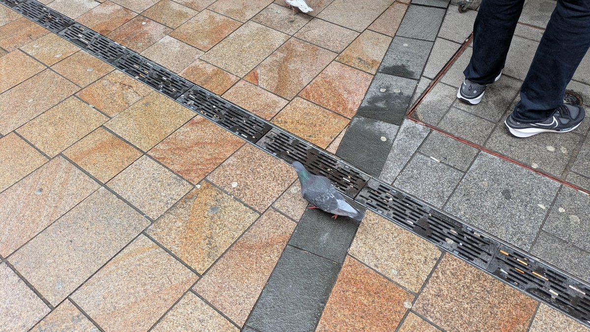 Roger Edwards tweet media