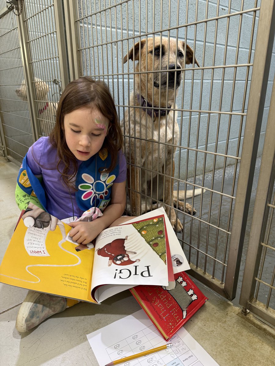 Girl Scouts tweet media