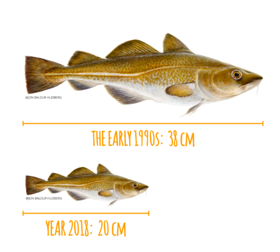 AquaticFlapper🍉🐟🦖🦜🧜🏼‍♀️🧜🏾‍♂️(Mermaid Arc) tweet media