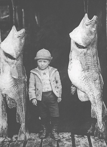 AquaticFlapper🍉🐟🦖🦜🧜🏼‍♀️🧜🏾‍♂️(Mermaid Arc) tweet media